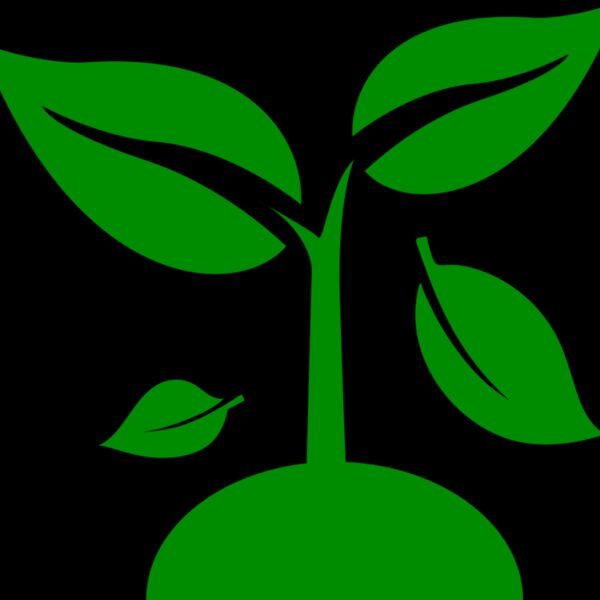 48 Plant Thumbnail