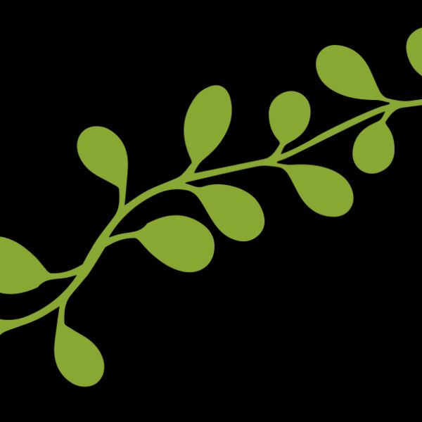 Leaves 13 Thumbnail